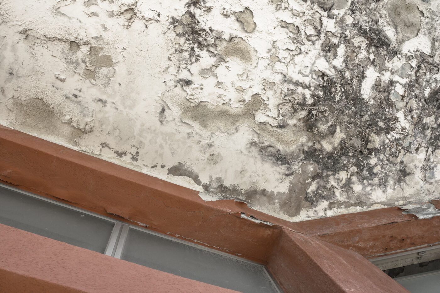 Damp Proofing