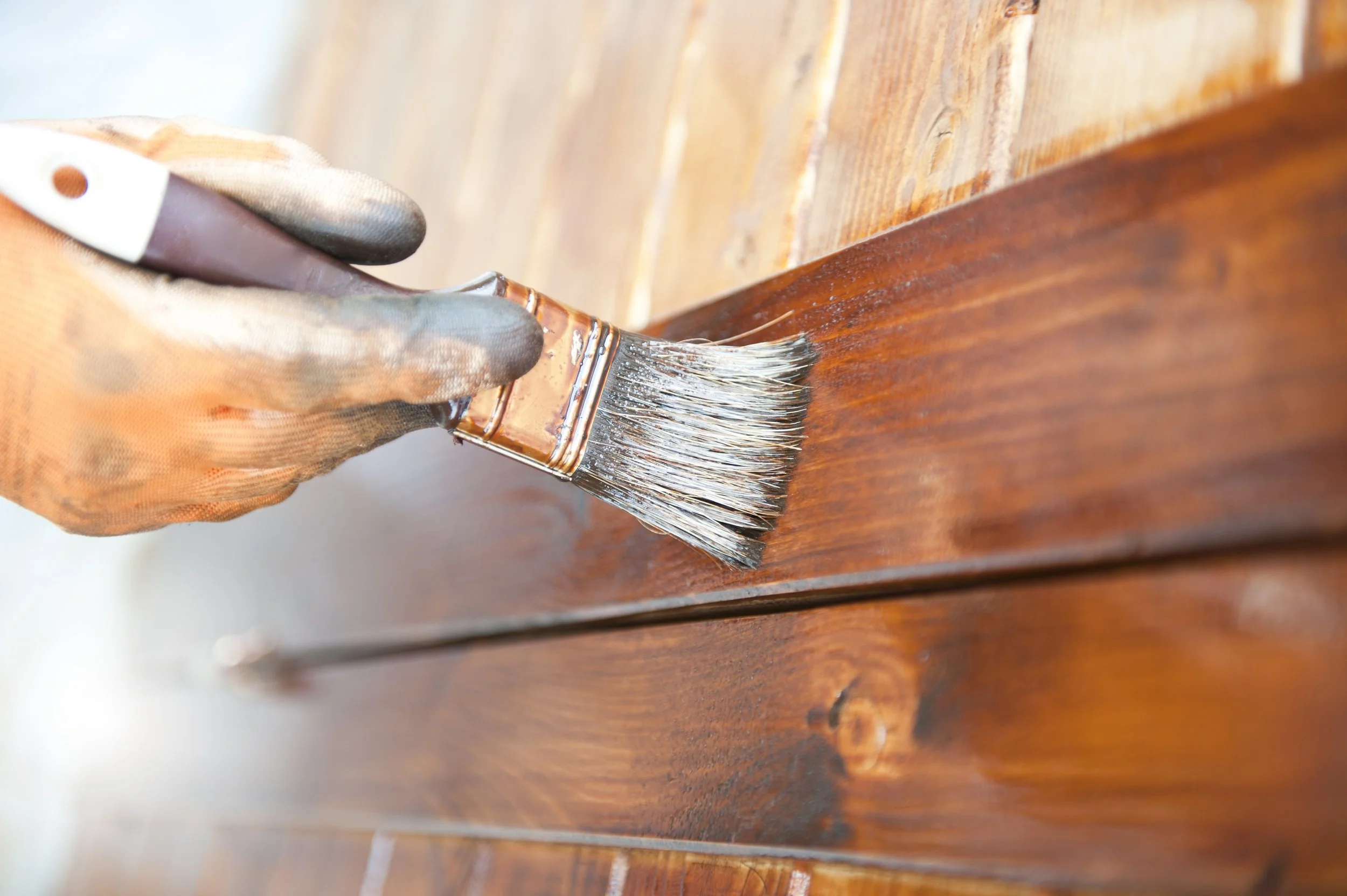 Timber Treatment service by Everdry Roofing